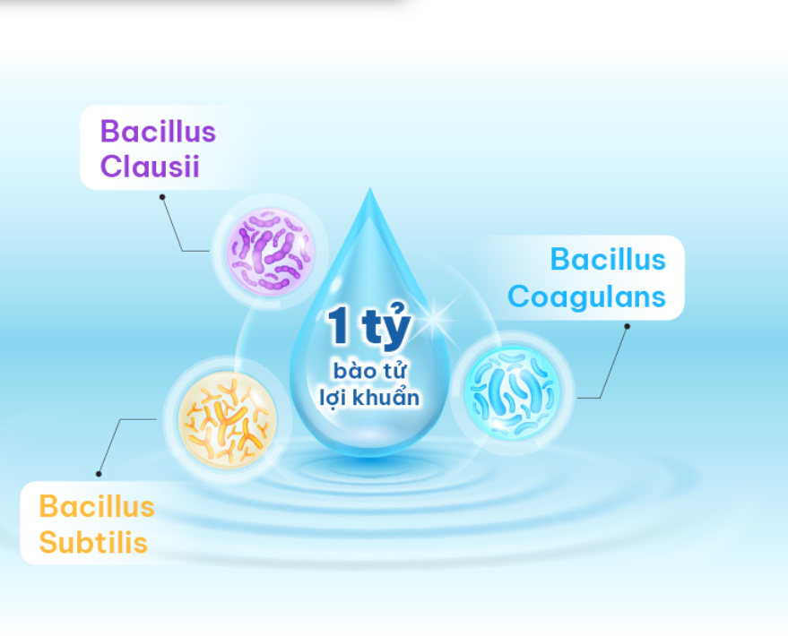 Bổ sung lợi khuẩn hô hấp giúp tăng cường hệ miễn dịch tự nhiên Bổ sung lợi khuẩn hô hấp giúp tăng cường hệ miễn dịch tự nhiên