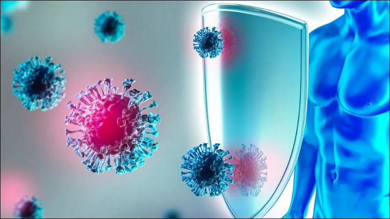 Miễn dịch tự nhiên là hệ thống phòng thủ đầu tiên của cơ thể Vai trò của miễn dịch tự nhiên đối với cơ thể con người